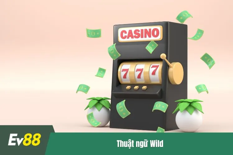 Thuật ngữ Wild